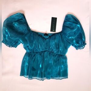 Shiny Blue Puff Sleeve Top